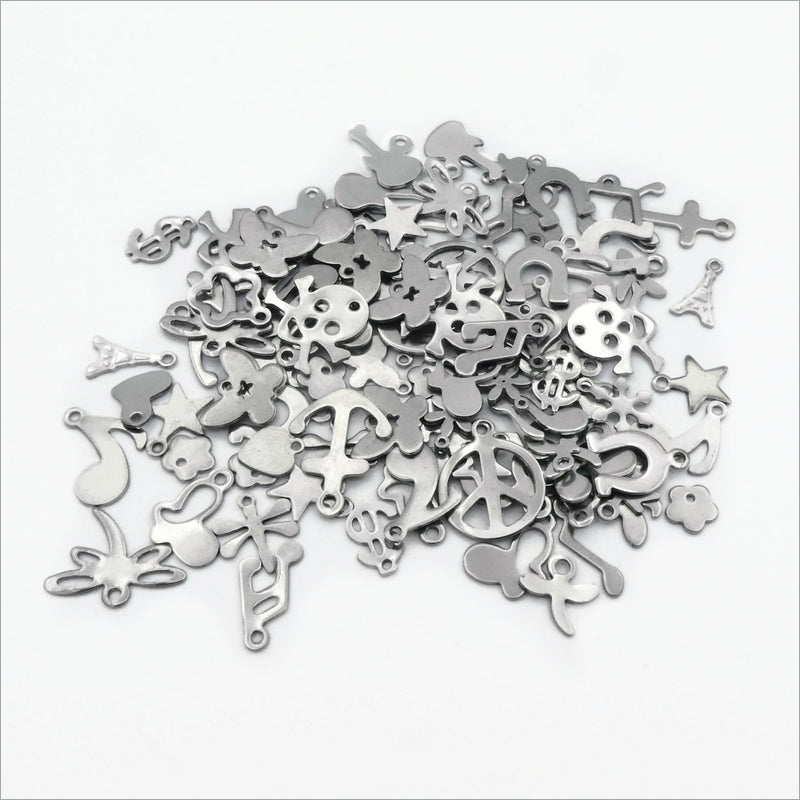 100 Random Mixed Stainless Steel Charms