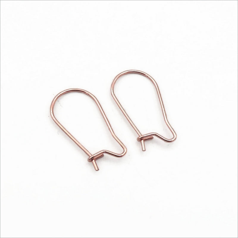 5 Pairs Gold Tone Stainless Steel 20mm Kidney Hooks