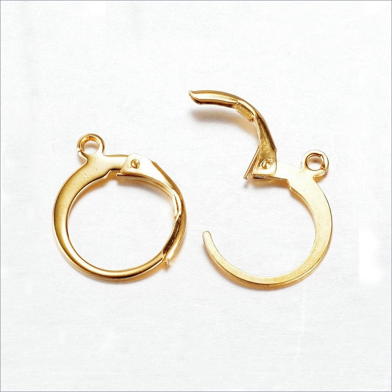 10 Pairs Round Gold Tone Stainless Steel Leverback Earrings