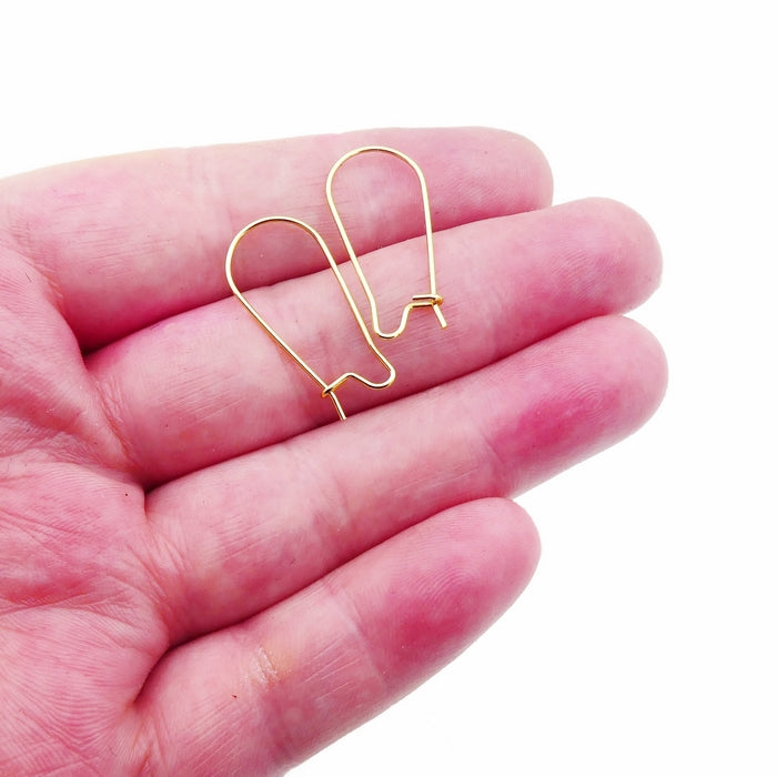 10 Pairs Gold Tone Stainless Steel 25mm Kidney Hooks