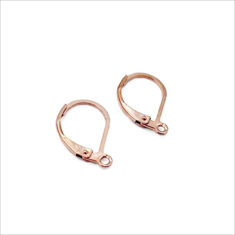 5 Pairs Rose Gold Tone Plated Stainless Steel Lever Back Earring Hooks