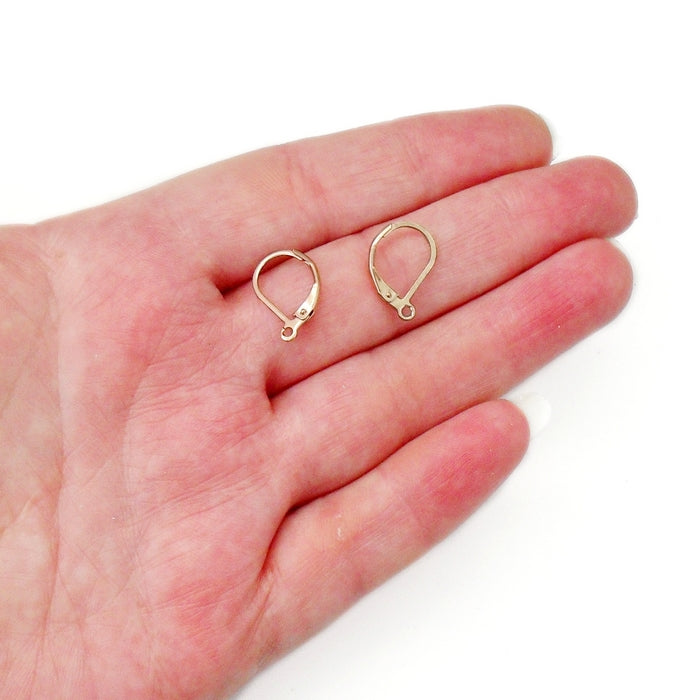5 Pairs Rose Gold Tone Plated Stainless Steel Lever Back Earring Hooks