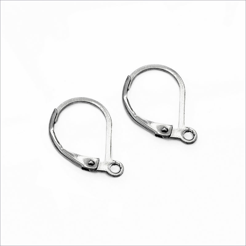 10 Pairs Small Stainless Steel Leverback Earrings