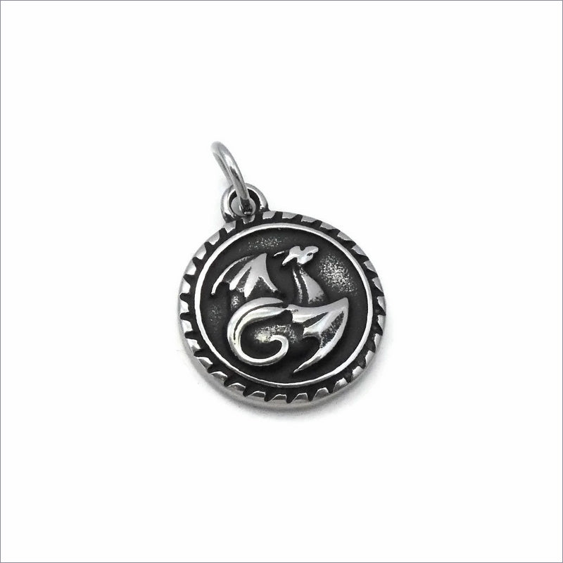 1 Stainless Steel Winged Dragon Medallion Charm
