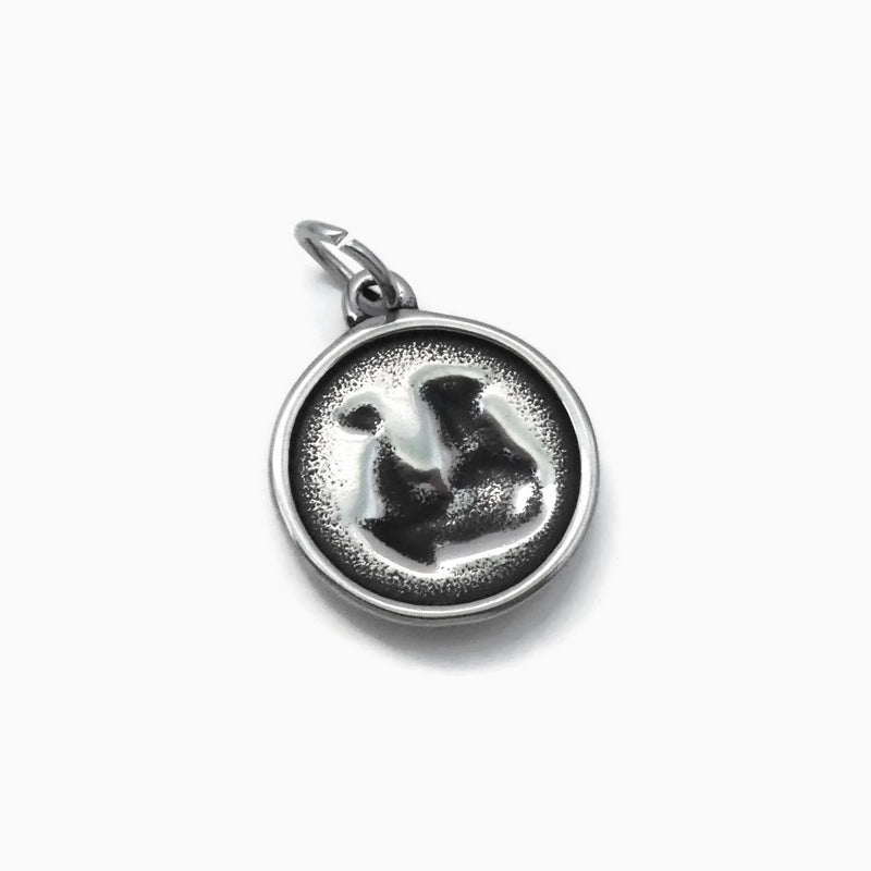 1 Stainless Steel Winged Dragon Medallion Charm
