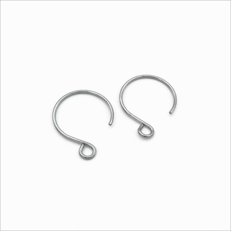 20 Pairs Stainless Steel Rounded Earring Hooks