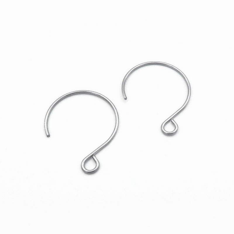 20 Pairs Stainless Steel Rounded Earring Hooks